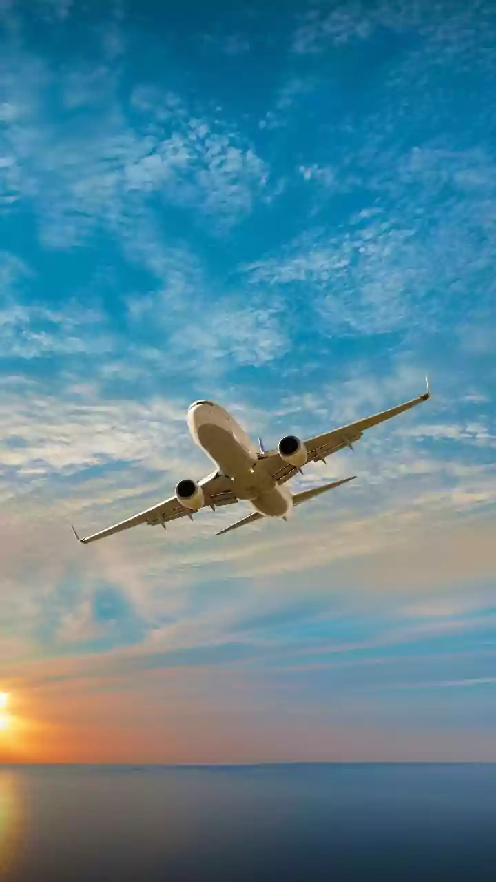 Navigating the Stock Market in India: Insights & Trends