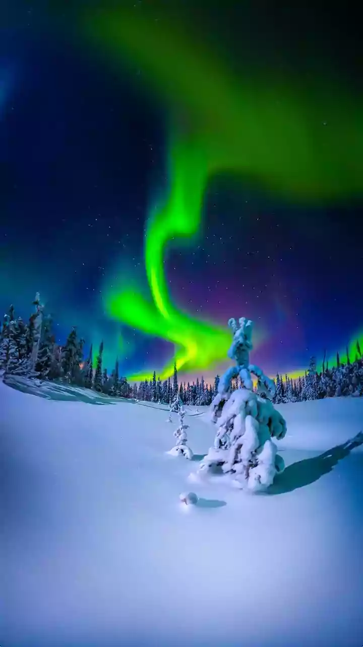 Shortest day of year descending on Northern Hemisphere. Here's what to know