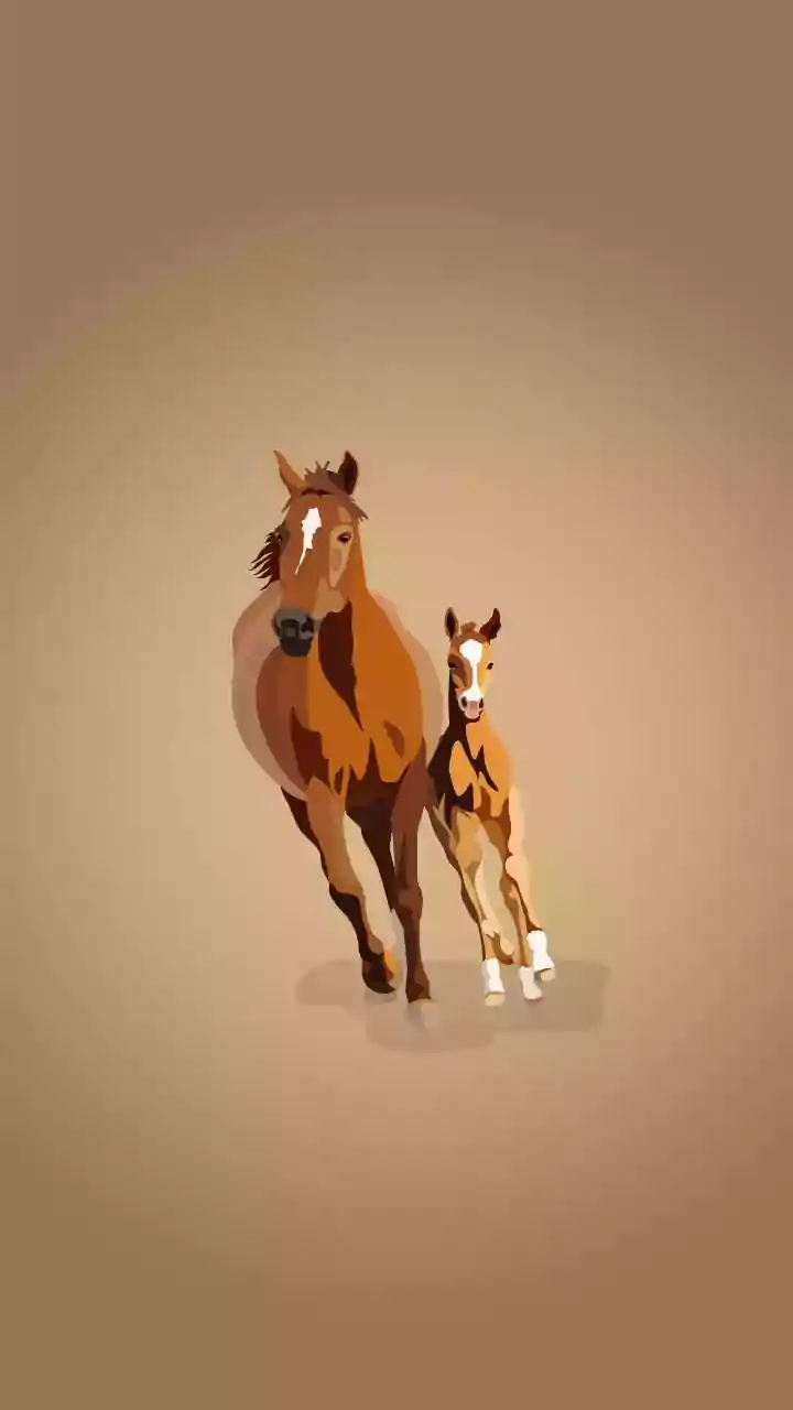 Unlock Your Inner Strength: Pick a Horse, Discover Your Hidden Superpower!