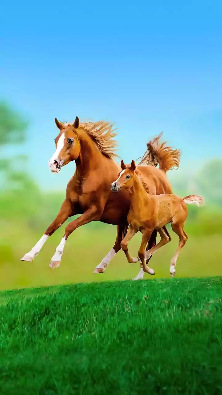 Unlock Your Inner Hero: Pick a Horse, Discover Your Unique Superpower!