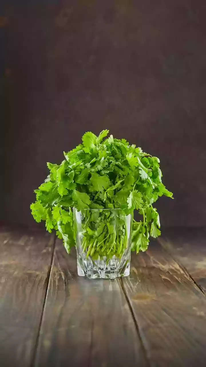How to grow coriander in water: Simple no-soil method for every home