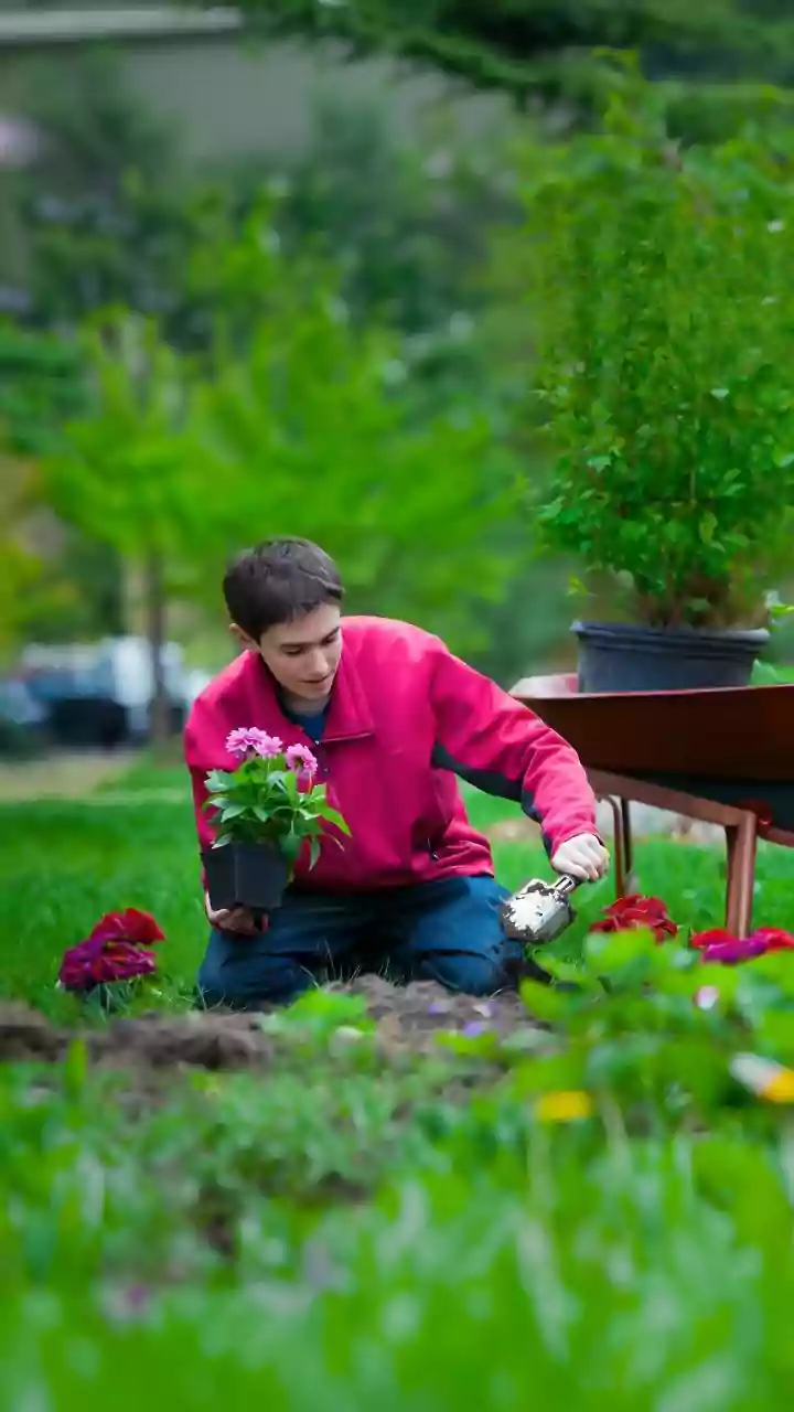 How To Repot Indoor Plants Safely Beginners Guide To Changing Soil And Protecting Roots