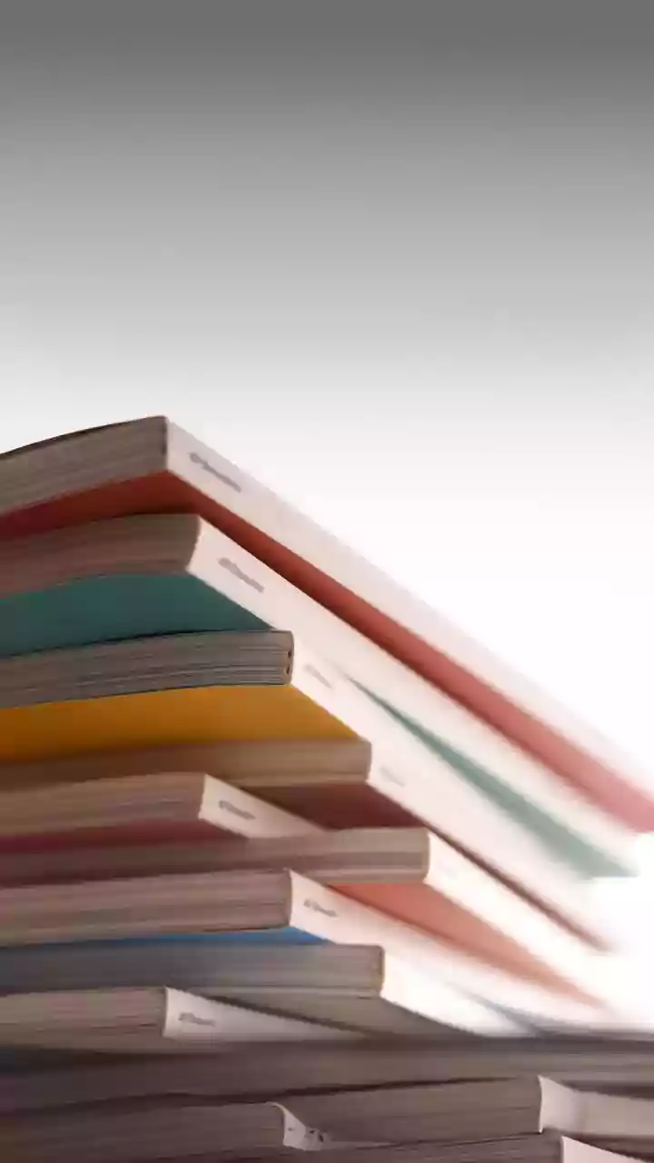 Puja Annuals Created a Common Shelf for Classics, Comics and New Experiments