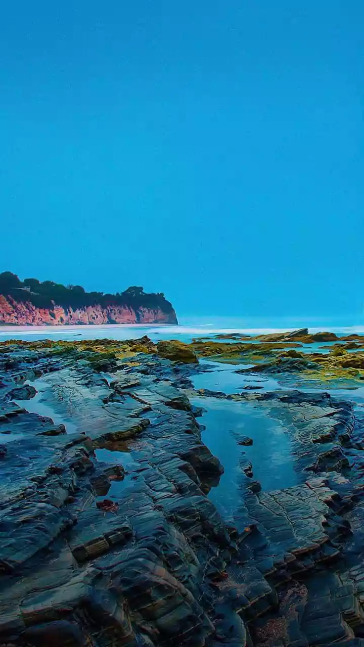 How Community-Led Mangrove Bio-Shields Protect Eastern Coast Villages From Severe Tidal Erosion