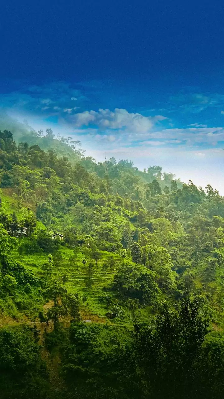 Secure Inner Line Permits before booking sustainable homestays in scenic Ziro Valley