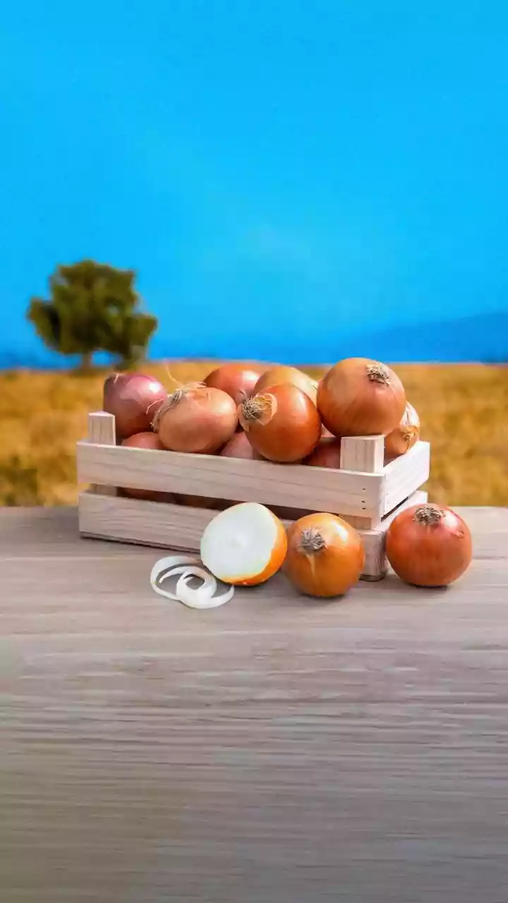 ‘Carry onion in your pocket’: Jyotiraditya Scindia’s remedy to beat extreme heat during  summers | Watch