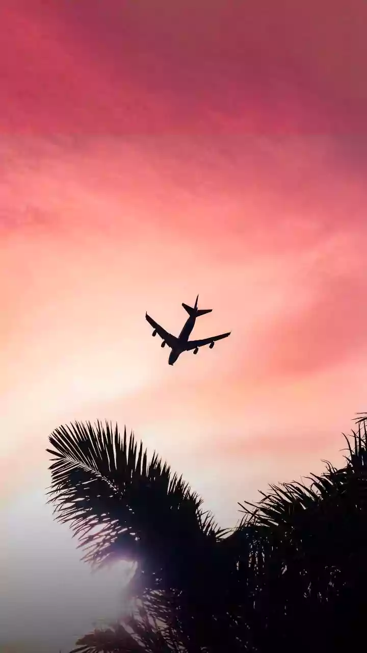 The Best Travel Deals Often Appear When Demand Is Neither Too High nor Low