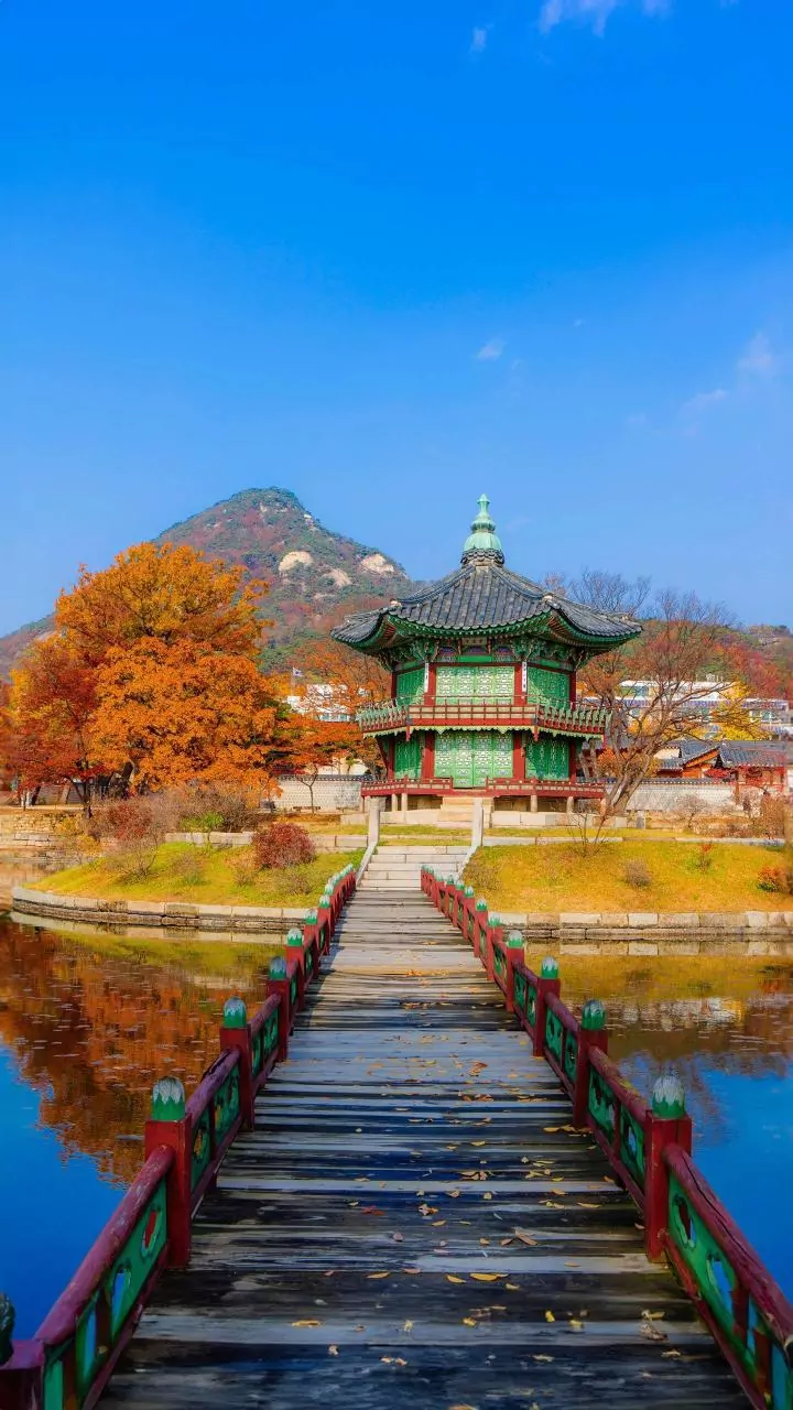 Japan And South Korea Adjust Nomad Visa Eligibility Criteria For Indian Applicants Today