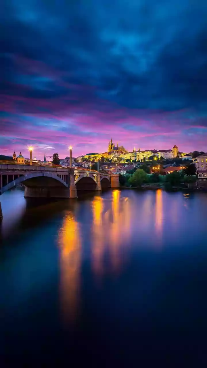 ‘Great to see Babis back’: Trump congratulates Czech PM after taking charge