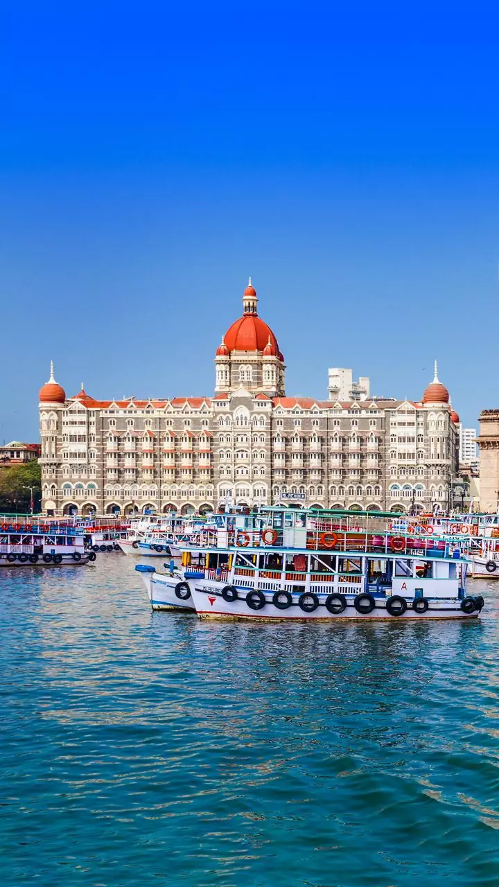 Cop rescues 9-foot python from Dharavi in Mumbai