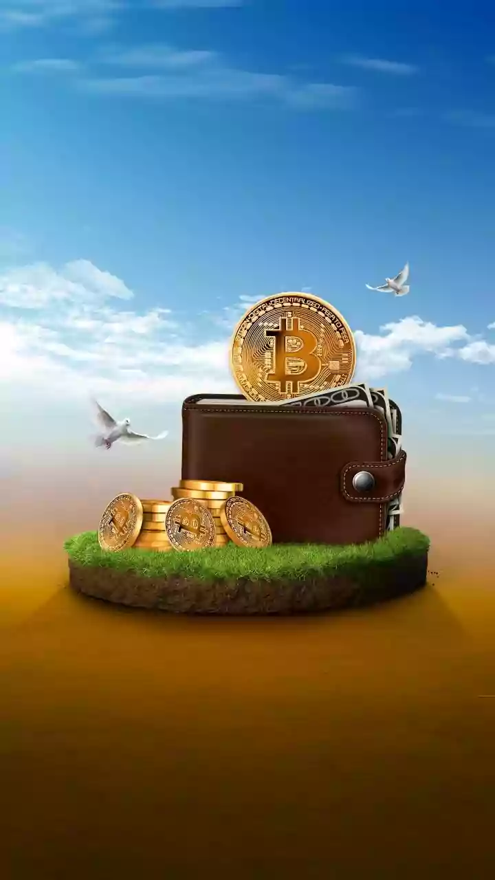 Jetsetters Use Digital Currency Wallets To Bypass Airport Exchange Fees