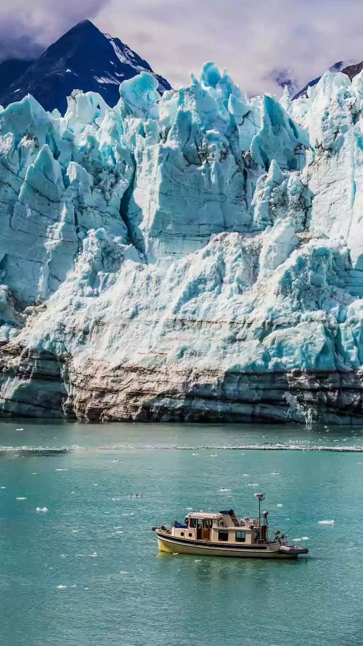 Glacier Bay National Park: Alaska's Untamed Wilderness of Whales and Glaciers