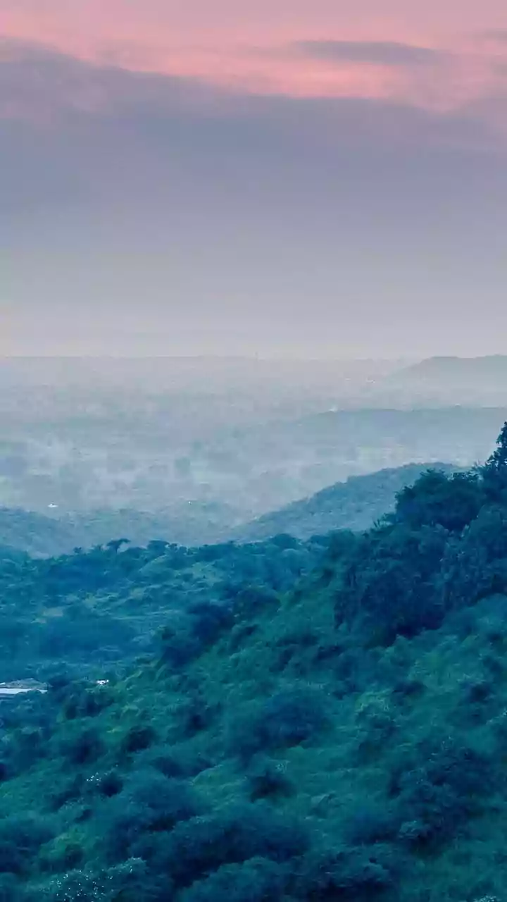 Inside the Aravallis: India’s ancient range connecting cities, forts and wildlife