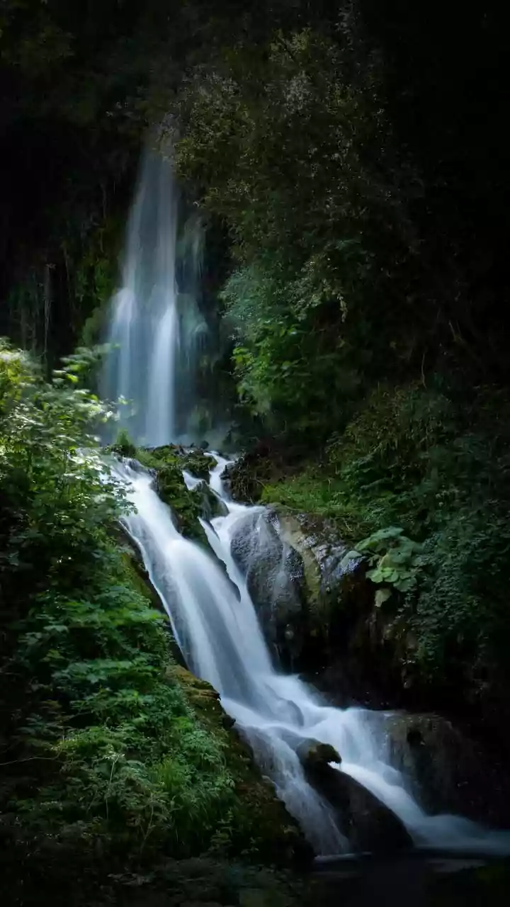 Beyond the Big Cats: Uncovering Jim Corbett's Hidden Natural and Spiritual Escapes