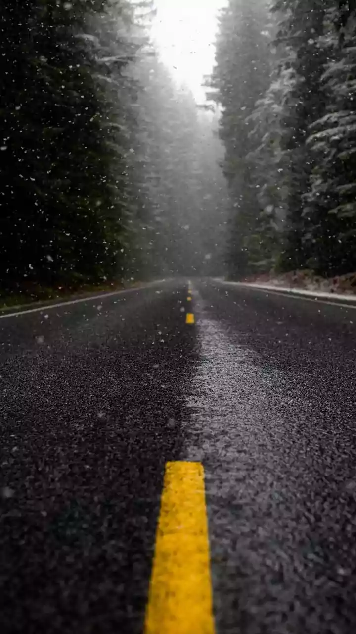 IMD warns of rain, snow, and thick fog in North India this week