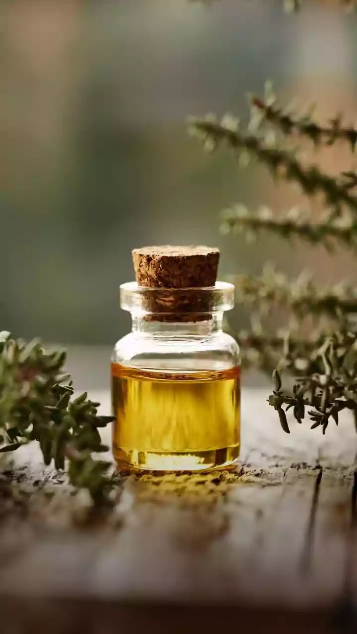 How Spiced Herbal Infusions Sourced From South Indian Heritage Enhance Daily Vitality And Overall Immunity