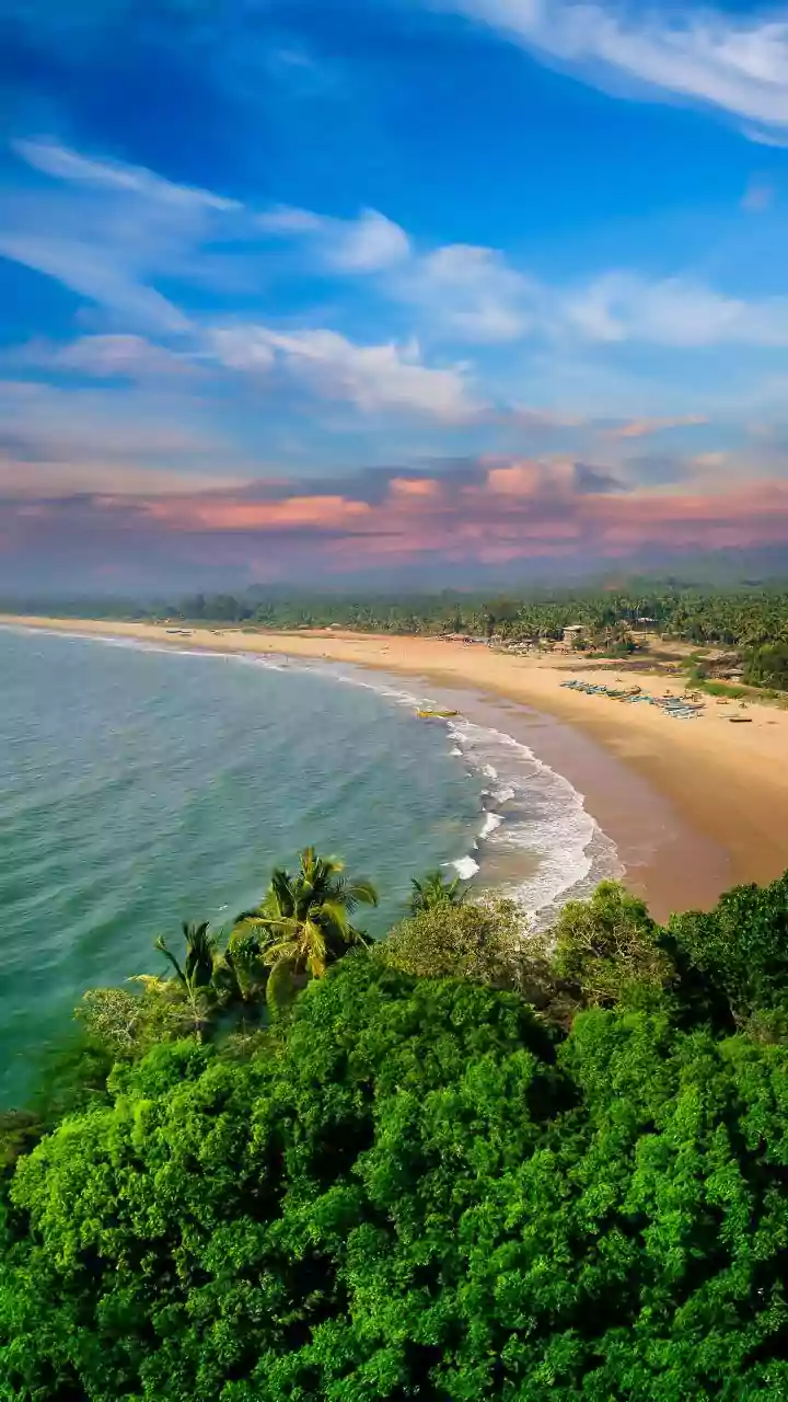 BJP-MGP alliance wins Goa ZP polls; PM Modi thanks people of state