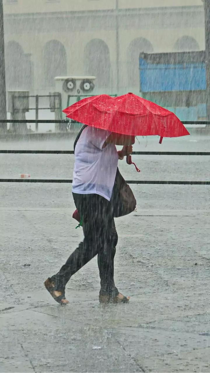 EUA confirmam chegada do El Niño no mundo: o que o fenômeno significa para a saúde dos brasileiros