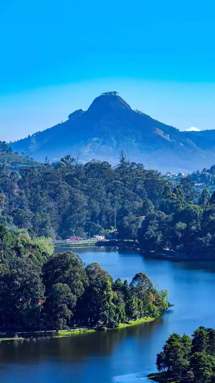 Red Alert Issued in Kodaikanal Amid Northeast Monsoon Floods