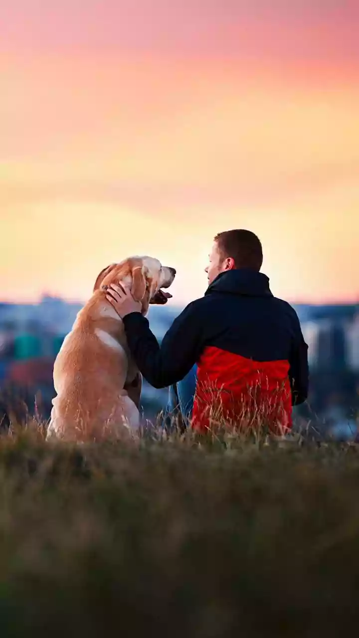 Dog and Cat Interactions May Shape Daily Stress and Mood Differently, but People Still Need to Avoid Declaring One Pet Universally Better