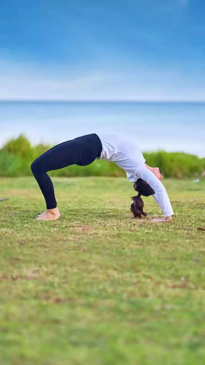 Cat-Cow Yoga For Beginners In Context: Alternating Between Spinal Flexion And Extension