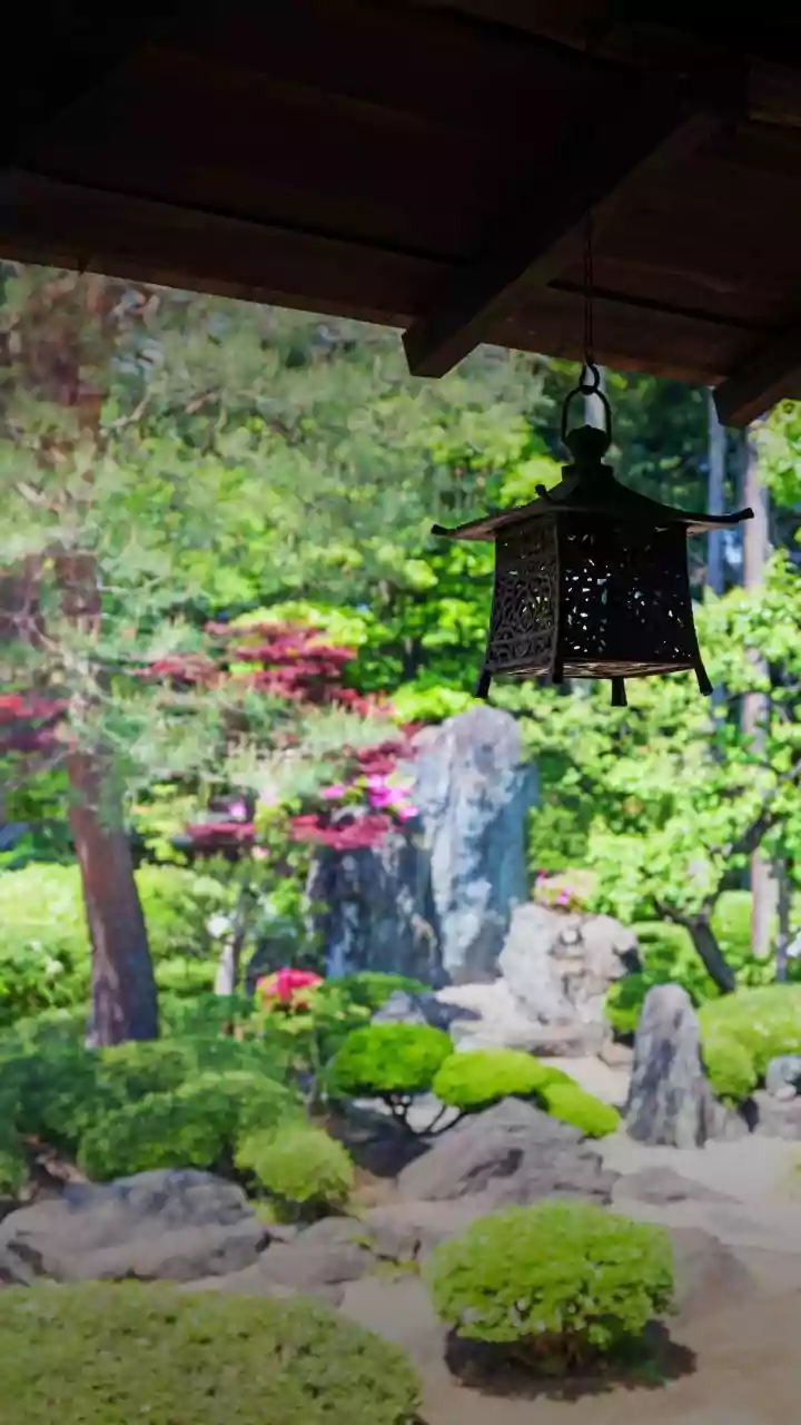 Beyond the Bullet Train: Unveiling Japan's Quirky Charms for the Curious Traveler