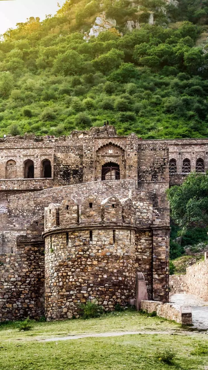 No connection between PM's 'global talk and local walk' on environment, says Cong; Yadav counters