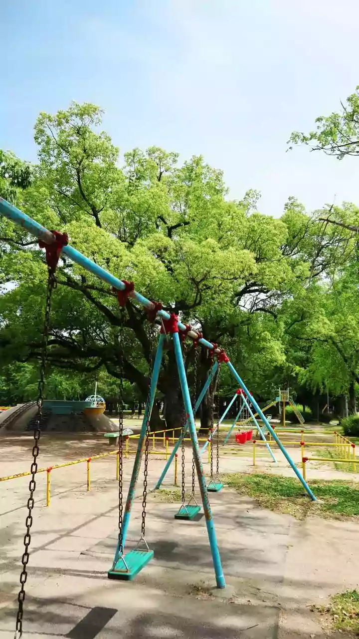 Kolkata NGT bench becomes first to set up dedicated child play area