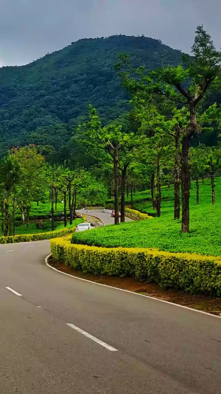 Yercaud's New Gateway: Tamil Nadu Unveils Third Route for Smoother Journeys