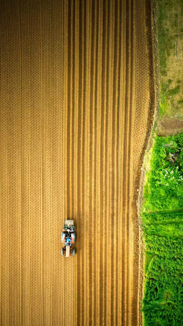 Two killed, six injured after a tractor overturns in Jharkhand's Khunti