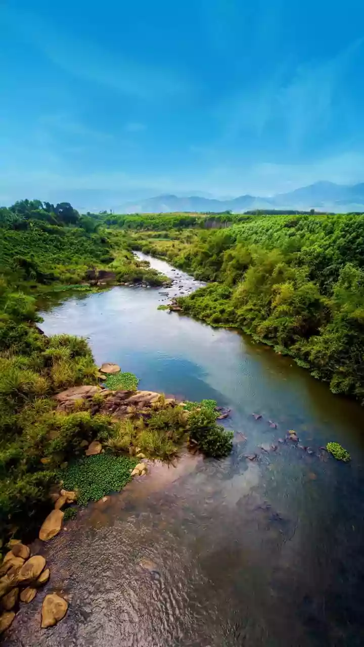 Tiny Titans: Exploring the World's Shortest Rivers