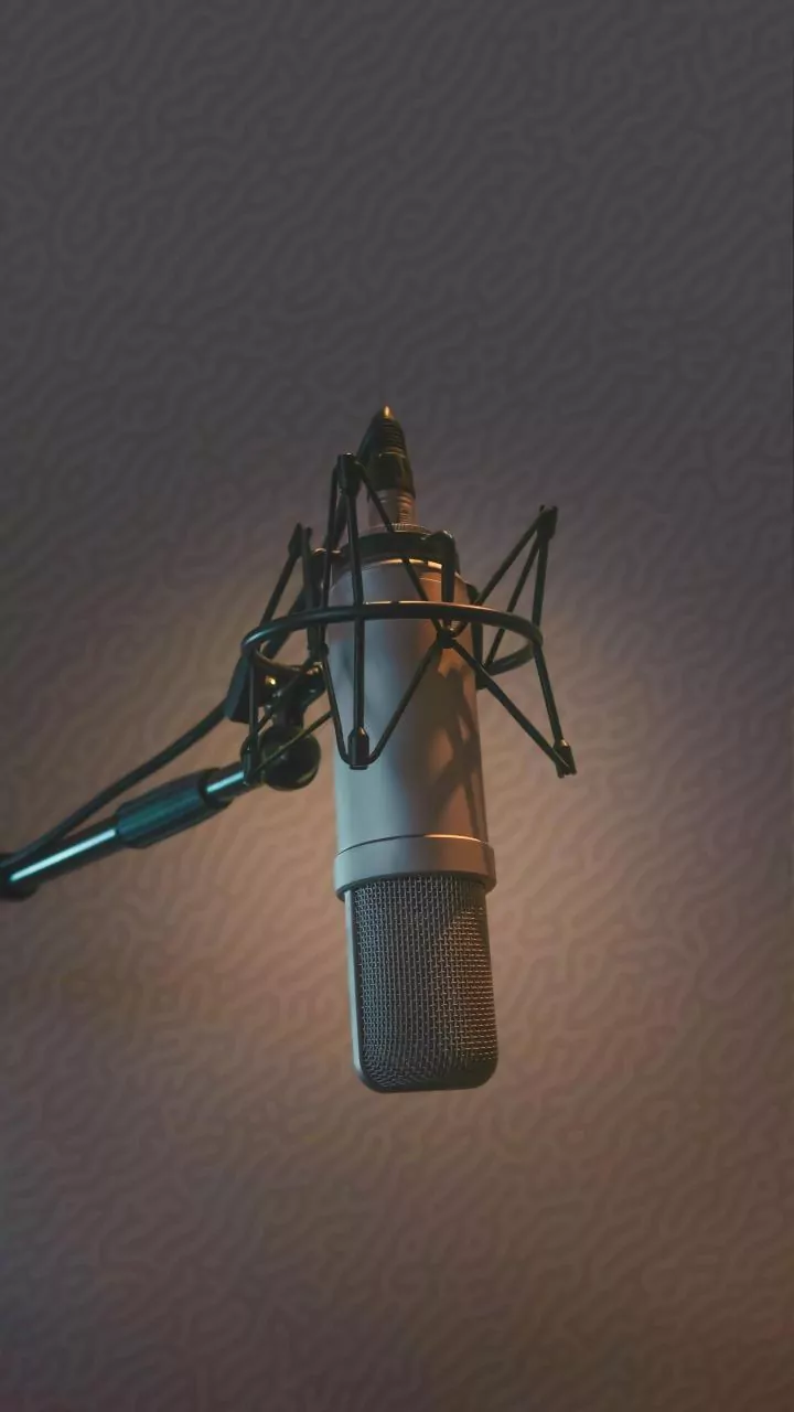 How Plant-Based Acoustic Wall Panels Replace Synthetic Foam In Apartment Recording Spaces