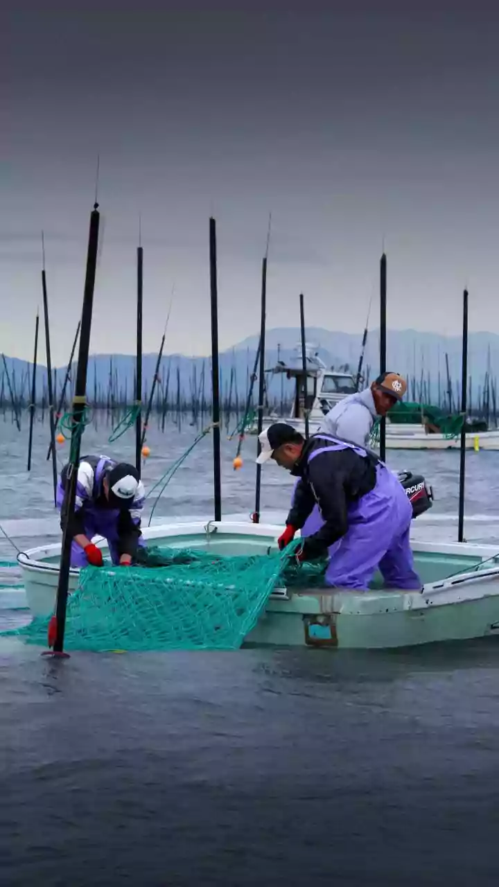 How Sustainable Aquaculture is Transforming Trout Farming in Jammu & Kashmir