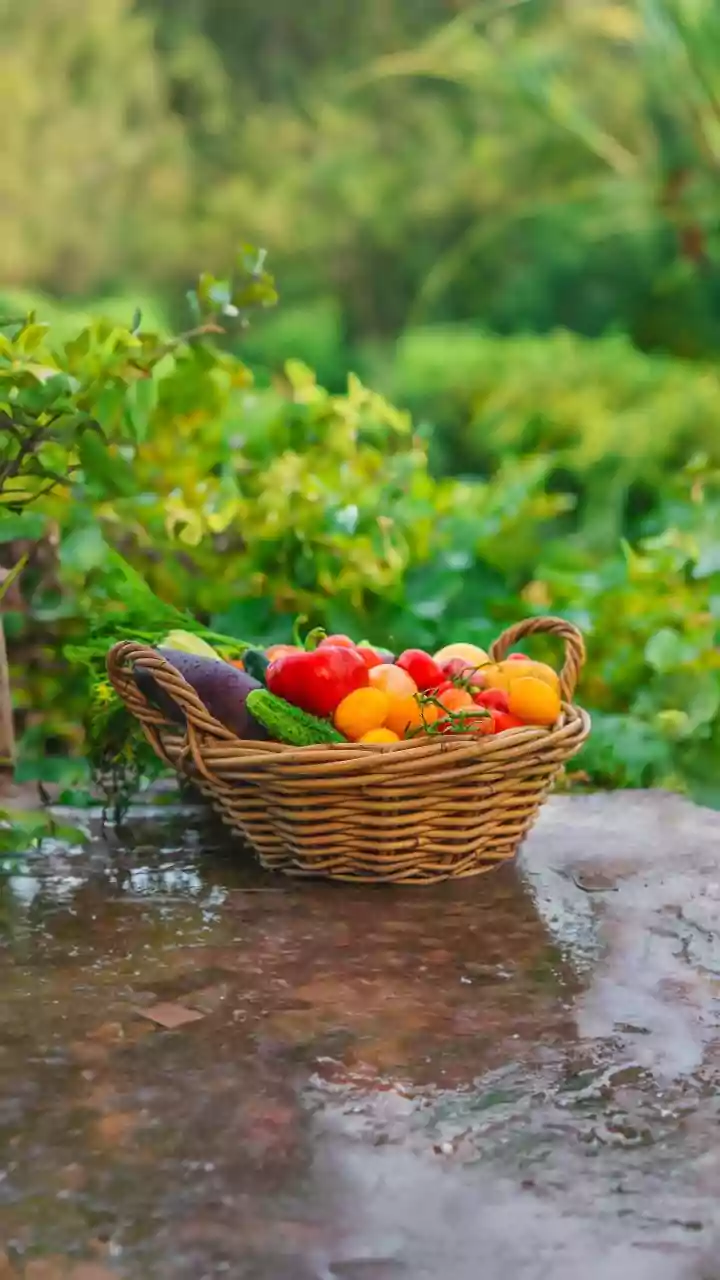 Stay Healthy: Essential Tips for Well-being