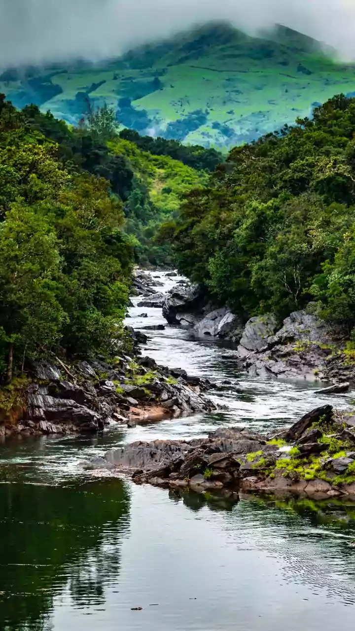 Seers, public representatives to hold awareness meeting on Varada-Bedti river linking: Bommai