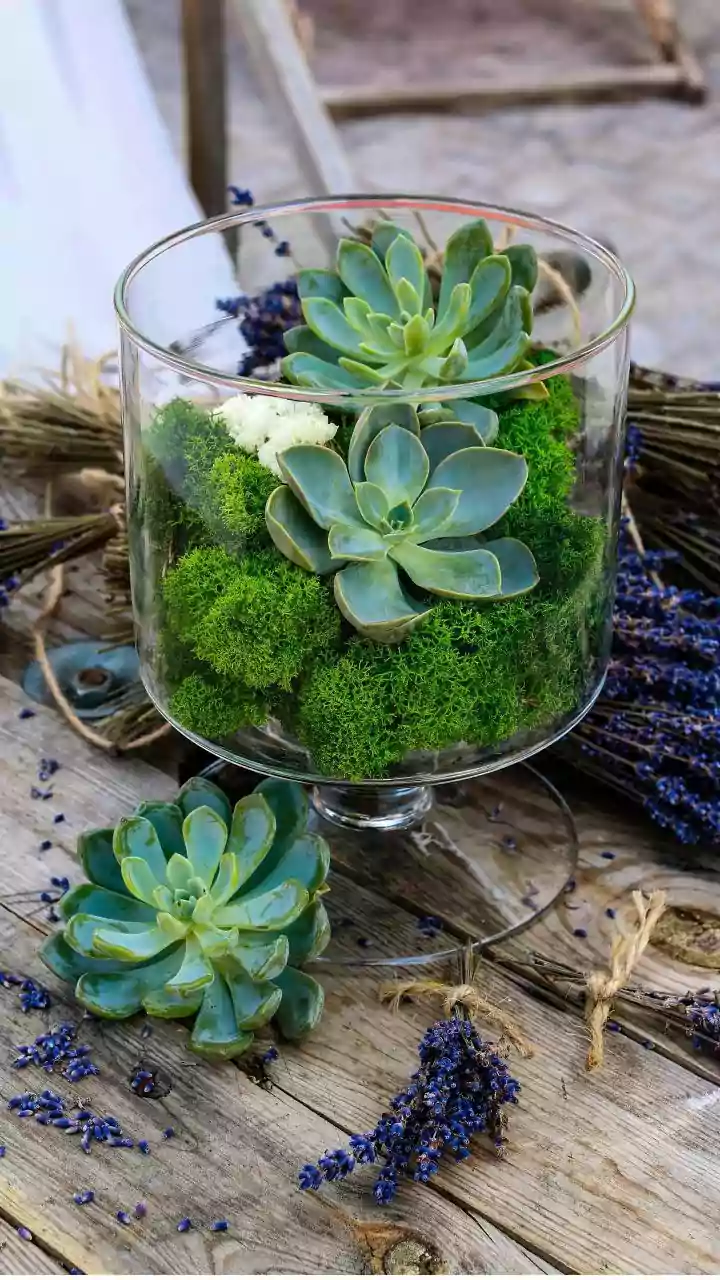 Eco-Chic Weddings: A Guide for the Sustainable Bride