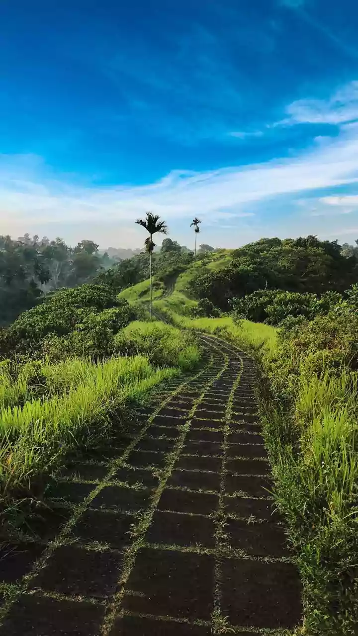 Mild evenings, easy steps – walking weather sweet spot