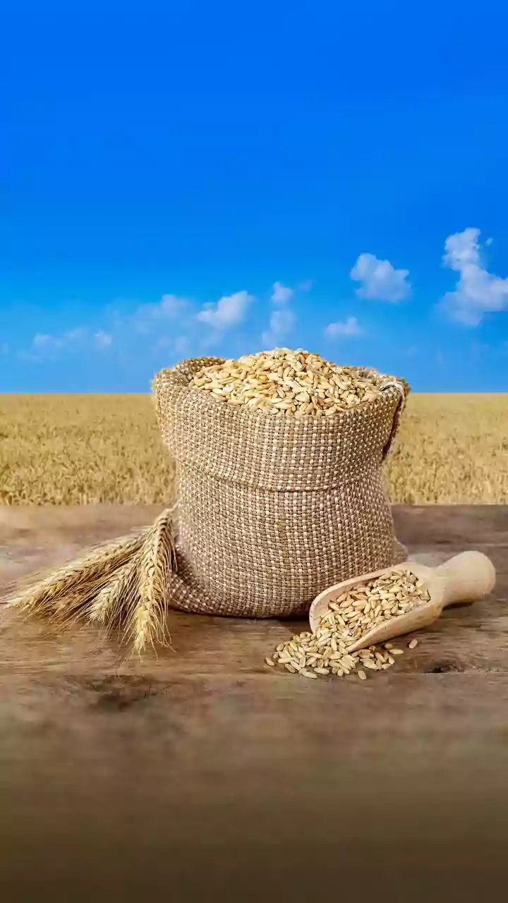 Fiber Frenzy: From Cereal Ads to Corporate Strategies, Why Fiber is the New Buzzword