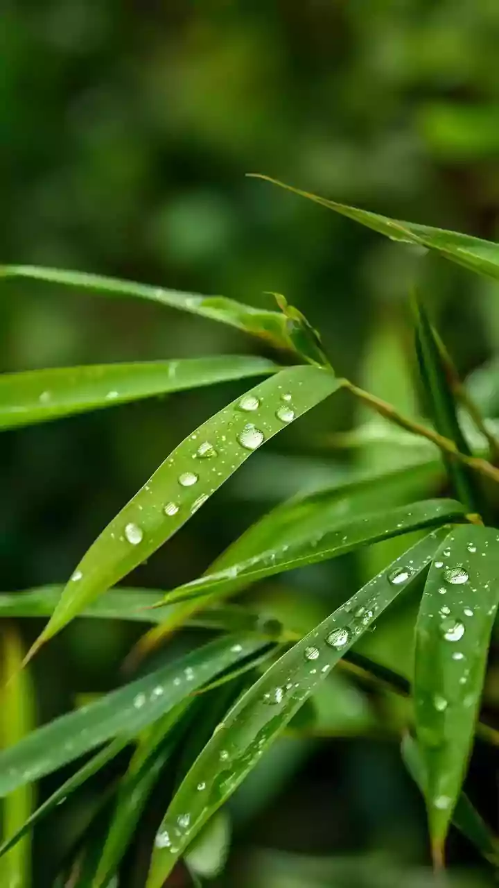 Sedges vs. Grasses: Unveiling the Subtle Differences in Plant Anatomy
