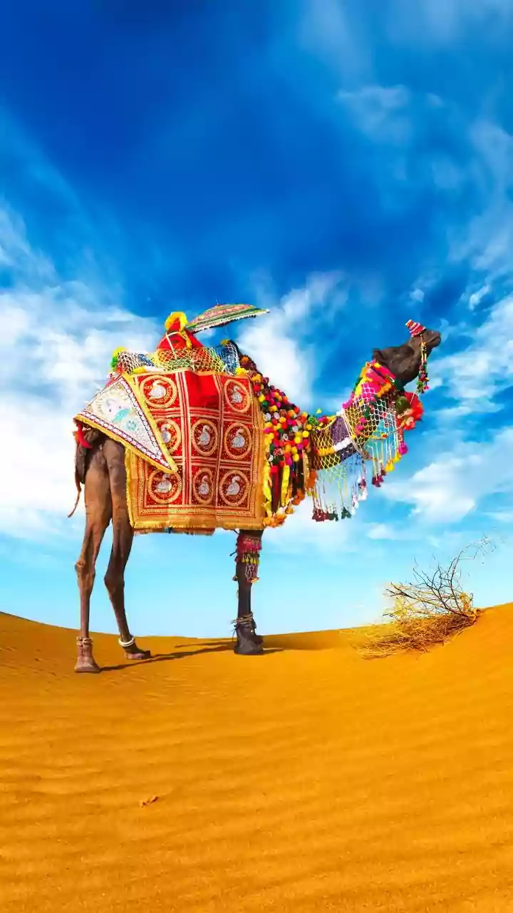 How Pleasant October Weather Opens Opportunities For Outdoor Cultural Tours In Rajasthan