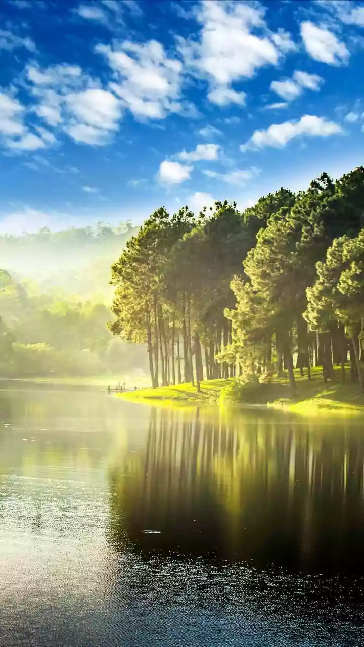 Why Early Morning Sun Is Crucial For Resetting Your Body's Internal Clock Naturally