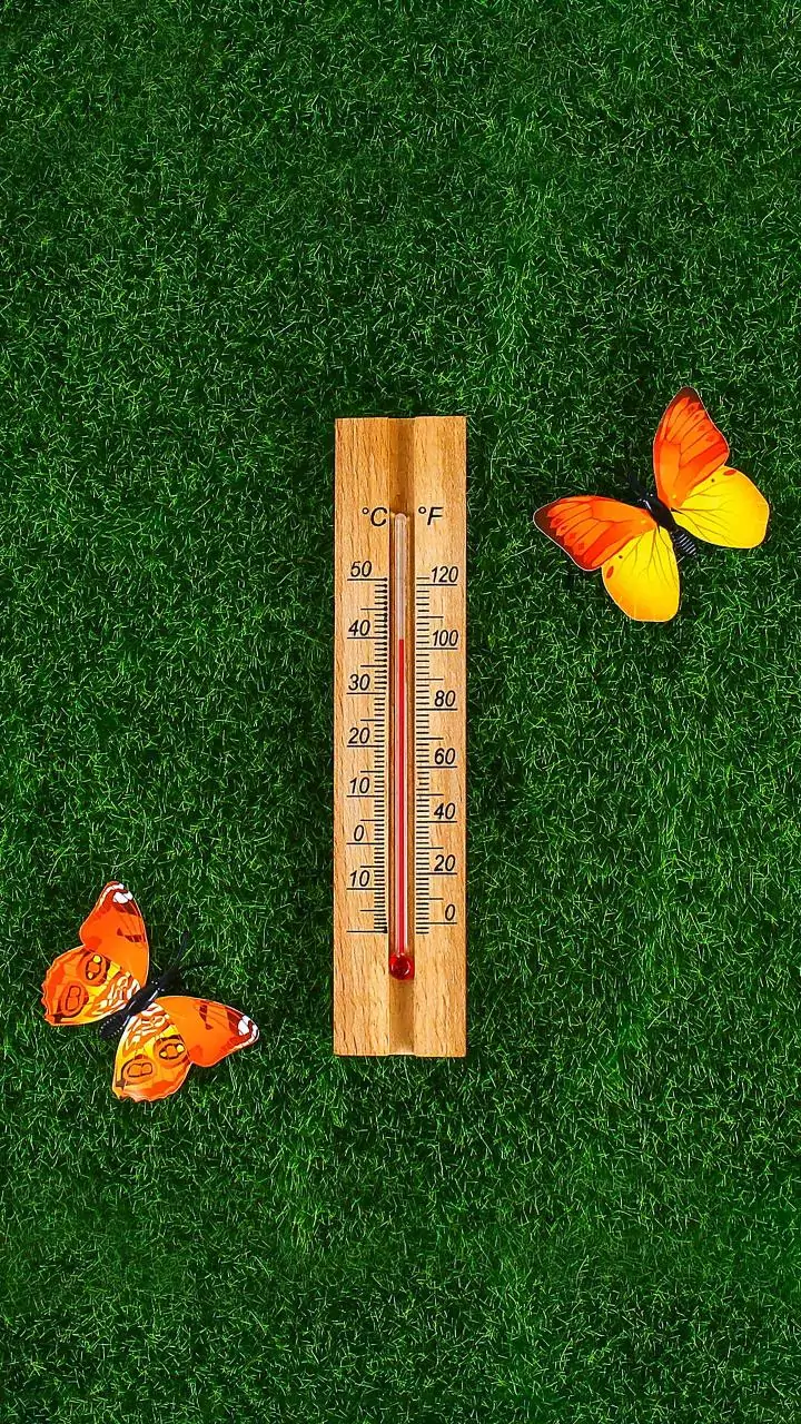 IMD warns of intense cold wave in central, western India; MP to see sharpest chill