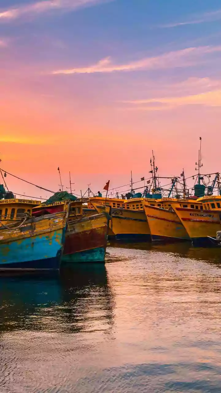 INCOIS to Provide Ocean State Forecasts and Alerts to Fishermen