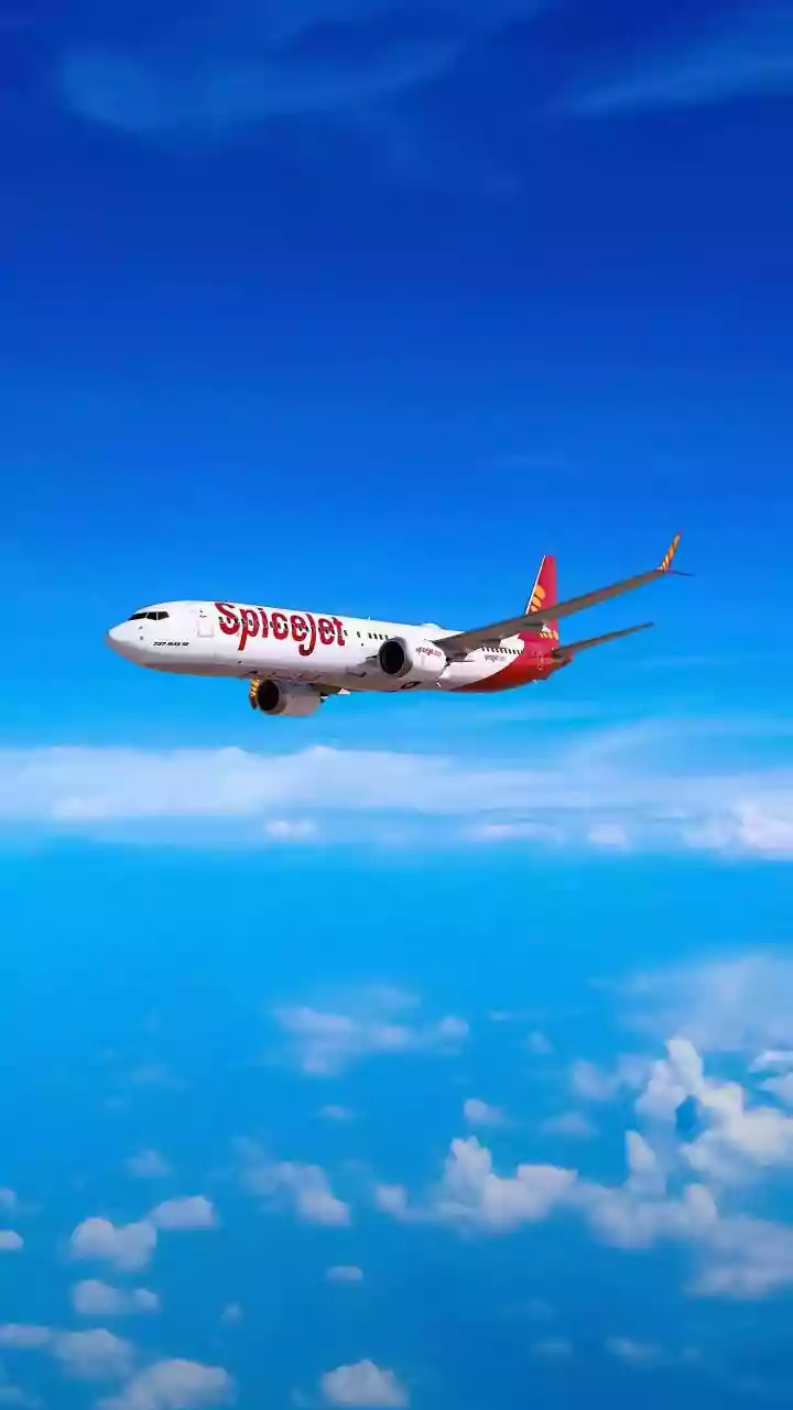 'Left Bloodied..': SpiceJet Passenger Alleges Violent Assault By Air India Express Pilot Over Queue Dispute At Delhi Airport; Airline Responds