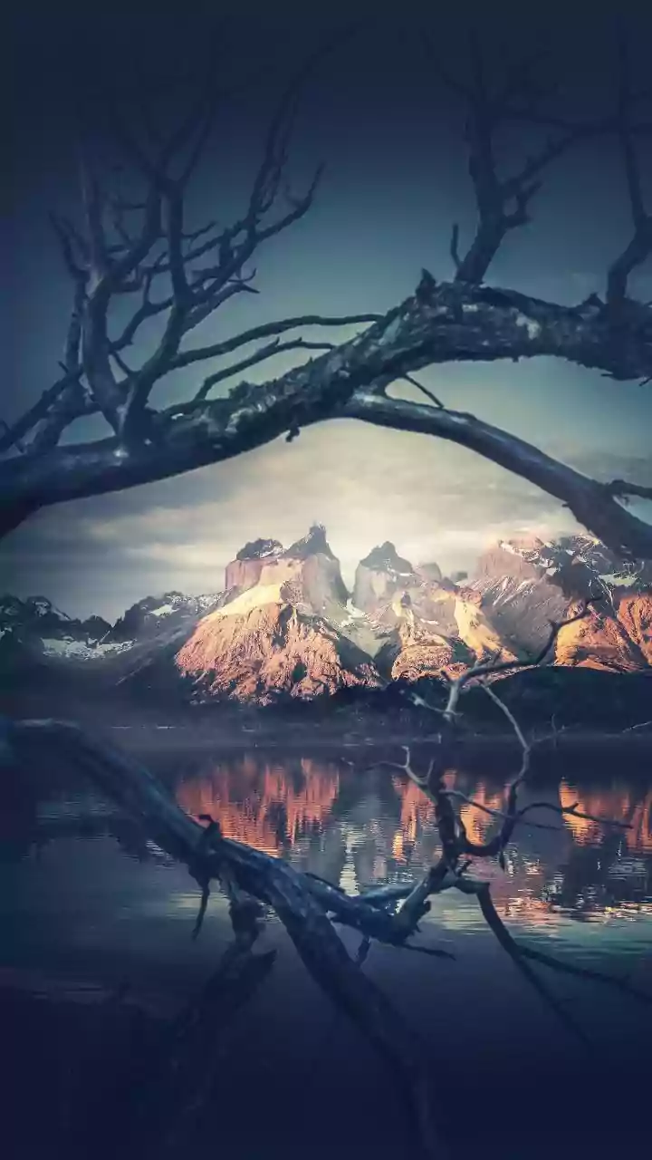6 Visual Sanctuaries: Instantly Soothe Your Mind with Serene Landscapes