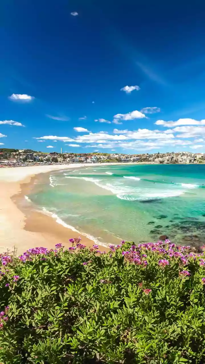 Australian PM Anthony Albanese Announces Bravery Award For Heroes Of Bondi Beach Antisemitic Attack That Claimed 15 Lives