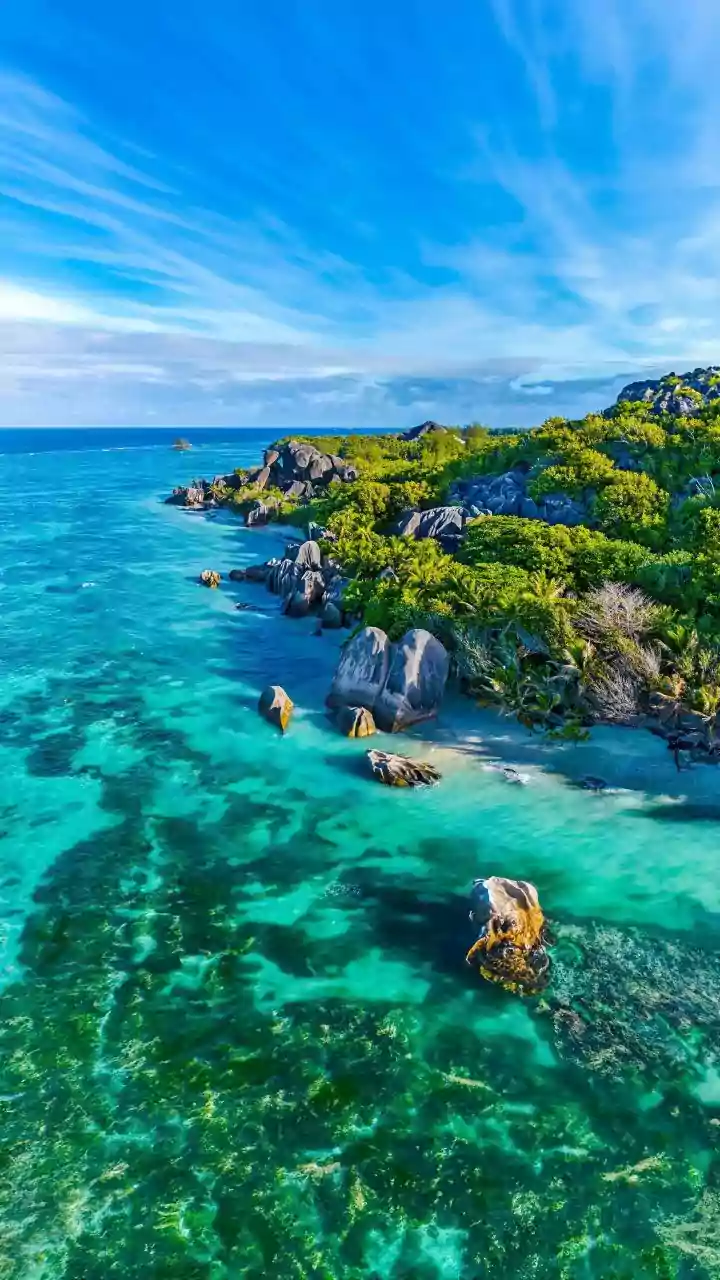 Madagascar's Thrilling Cliff Diving: Dive into Adventure & Natural Wonders