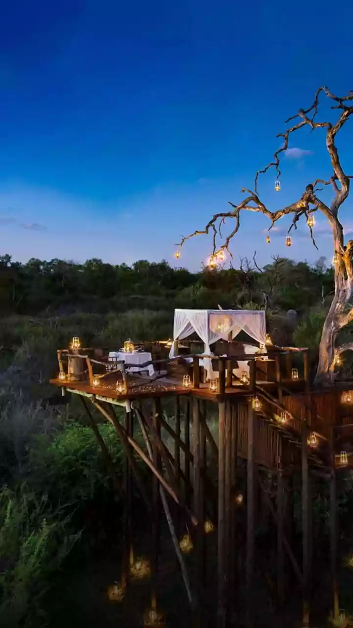 Where to find the best treehouse stays in Africa