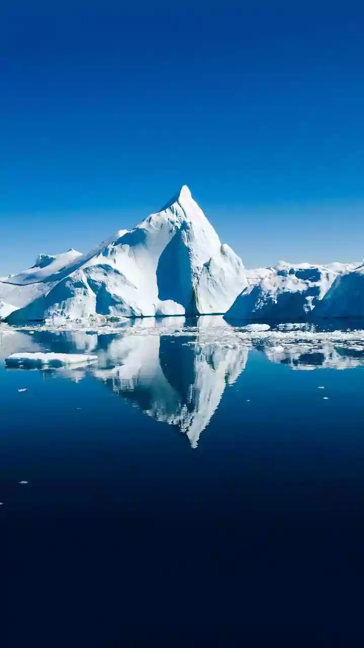 'Greenland's defense is 2 dog sleds': Trump pushes US acquisition