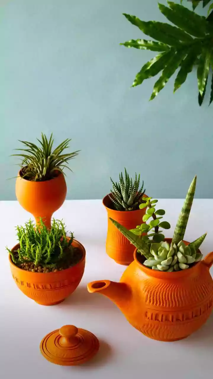 5 Hydration-Loving Plants for Indian Homes